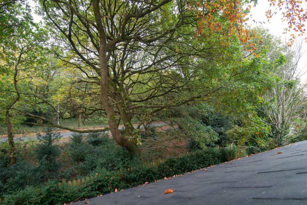 Luxury Coach House Next To Woodland In Knutsford Villa Exteriör bild